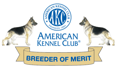 Austerlitz German Shepherd Dogs | Producing outstanding ...