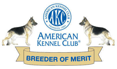 Kc registered german hotsell shepherd puppies for sale