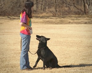 becca_yin_training