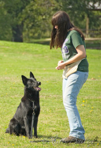 becca_yin_training2