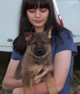 dora7wks