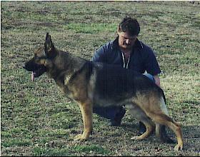 frisco_stand3