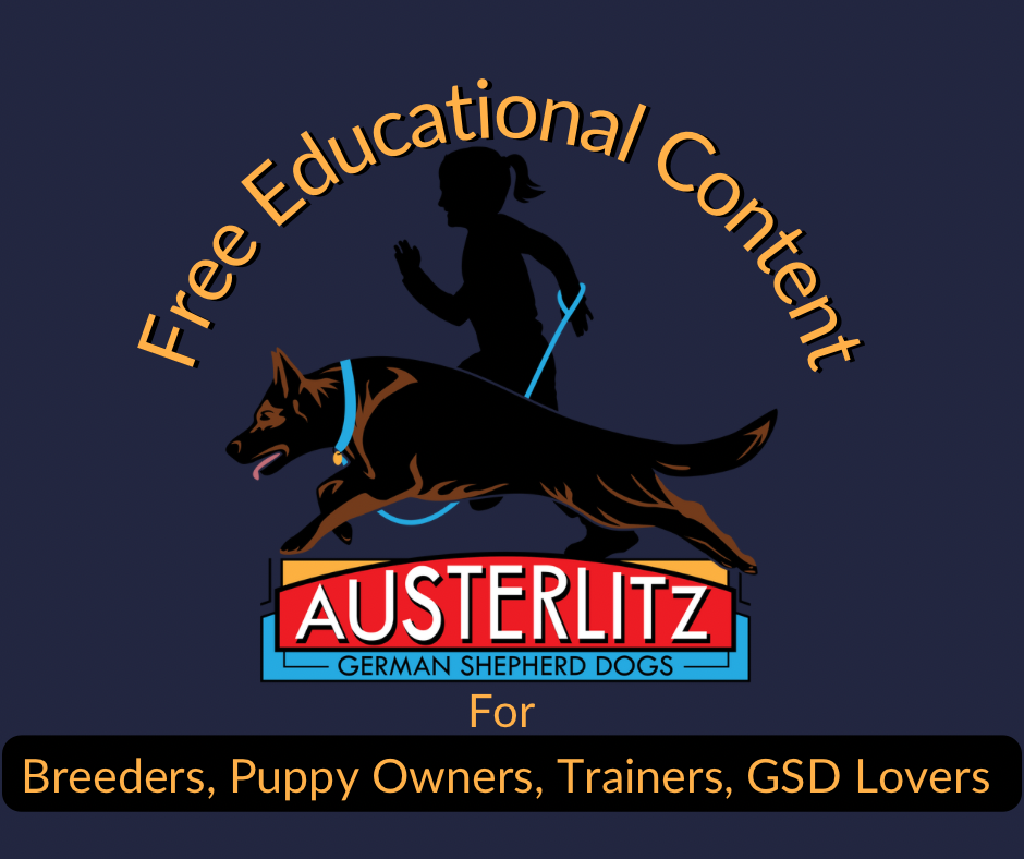 Crate Conditioning: Breeder  Austerlitz German Shepherd Dogs