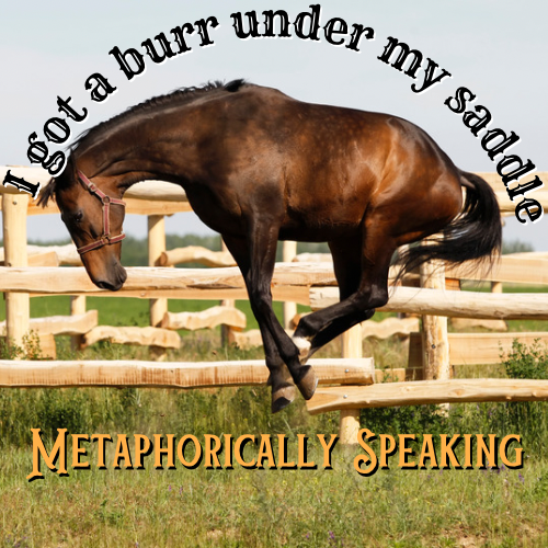 Meme Roundup: I got a (new) burr under my saddle, metaphorically ...