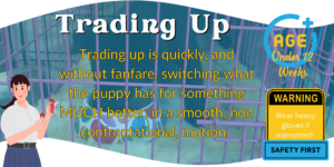 Crate Conditioning banners.zip - 16