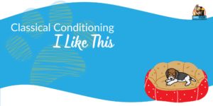 Crate Conditioning banners.zip - 2