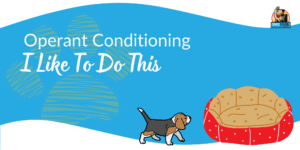 Crate Conditioning banners.zip - 3